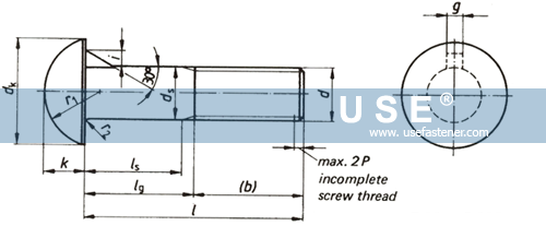 DIN 607 - Cup Head Nib Bolts